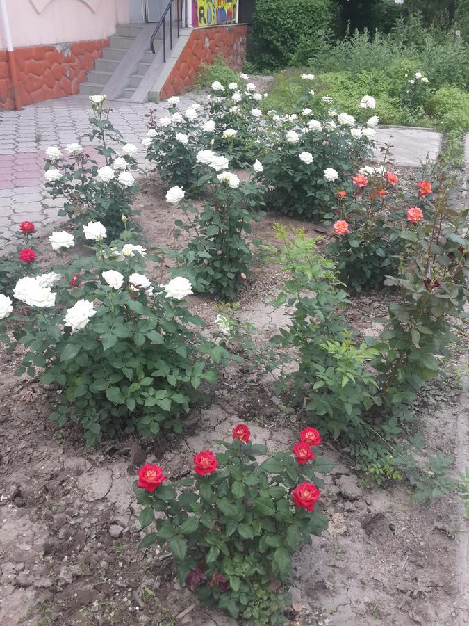 FM Hostel Almaty Koktobe Dış mekan fotoğraf